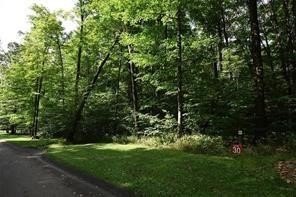 /international/us/lot-30-grouse-point-seven-springs-resort-pa-110107747318/
