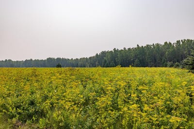 /international/us/13-acres-whitetail-lane-tipler-wi-110101366092/?lang=zh-tw