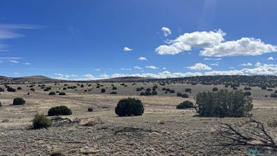 /international/us/deer-circle-road-quemado-nm-110103164514/