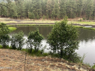 /international/us/3-county-road-n1029-greer-az-110101151586/