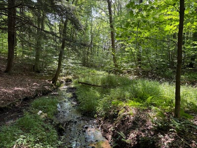 /international/us/00-red-mill-road-mount-jewett-pa-110096283031/?lang=zh-tw