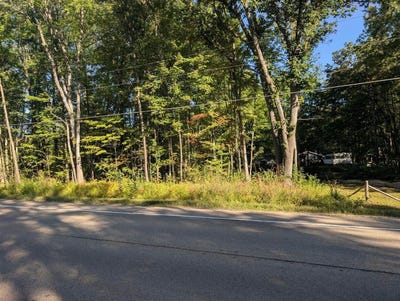 /international/us/lot-65-west-marl-lake-road-roscommon-mi-110119992665/