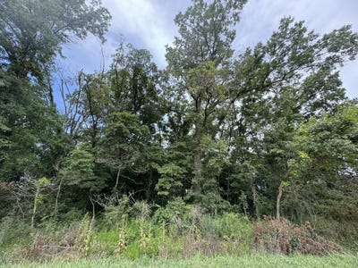 /international/us/4-acres-vacant-land-800-n-wheatfield-in-110093421297/?lang=en