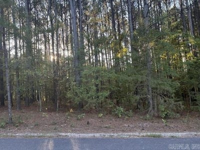 /international/us/42-victoria-lane-hot-springs-village-ar-110120484243/