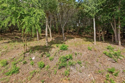 /international/us/5036-santa-elena-court-de-cordova-tx-110108546211/