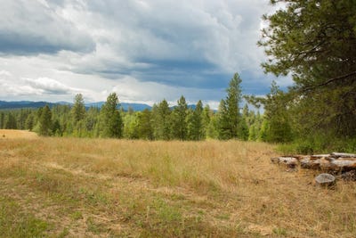 /international/us/4110-cemetery-tract-d-rd-springdale-wa-110101302254/?lang=zh-tw
