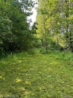 /international/us/birch-run-rd-arbela-twp-mi-110093256471/