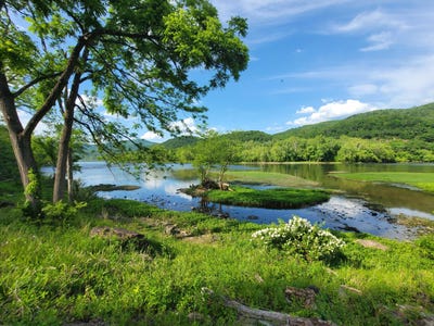 /international/us/1353-new-river-rd-hinton-wv-110108281817/