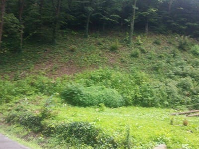 /international/us/690-ratliff-creek-road-pikeville-ky-110100419872/
