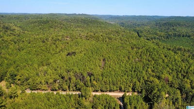 /international/us/275-pendley-creek-road-lot-0-oakman-al-110120027380/