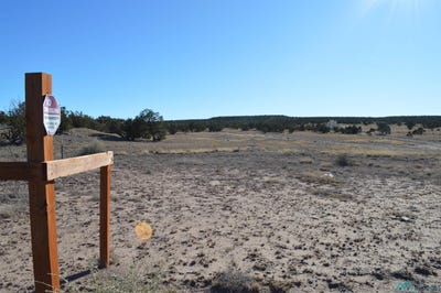 /international/us/woodview-drive-prewitt-nm-110104105174/