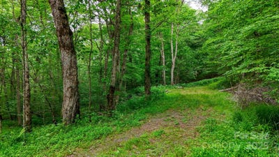 /international/us/233-woodland-springs-trail-boone-nc-110100205566/?lang=zh-tw