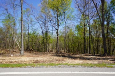/international/us/4-highway-232-stewart-tn-110097311951/