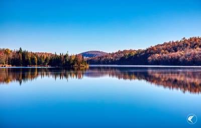 /international/us/4891-state-route-3-star-lake-ny-110095416795/?lang=en