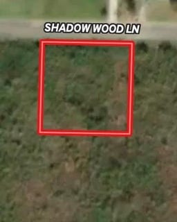 /international/us/shadow-woods-lane-lot-20-blk-c-ozark-al-110108204022/