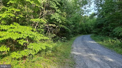 /international/us/brush-leaf-lane-mount-jackson-va-110100347600/?lang=zh-tw