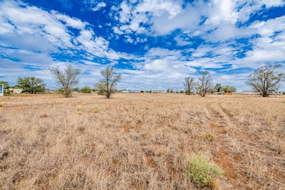 /international/us/lot-24-sandia-street-moriarty-nm-110110295986/