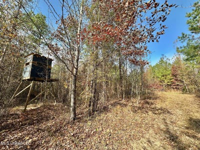 /international/us/3-county-road-3122-mccool-ms-110103757481/