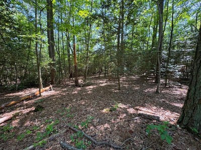/international/us/preserve-drive-lot-36-lancaster-va-110100561950/