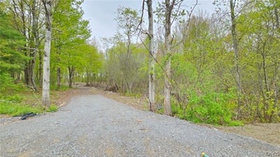 /international/us/co-rt-2-richland-ny-110108080508/