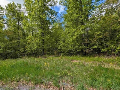 /international/us/acorn-ridge-estates-subdivision-lot-9-mosinee-wi-110106758173/