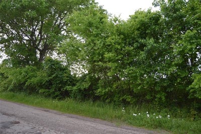 /international/us/tbd-replat-lot-rs-county-road-1520-point-tx-110097196074/