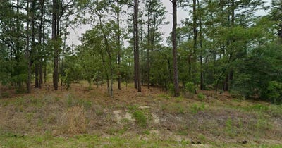 /international/us/se-129th-court-dunnellon-fl-110120636169/