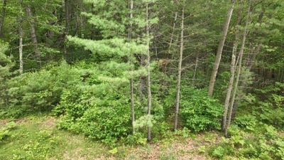 /international/us/lots-2-3-kaufman-road-tomahawk-wi-110099688992/?lang=en