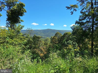 /international/us/tiger-valley-road-hyndman-pa-110107478852/