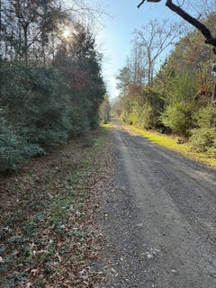 /international/us/tbd-d-county-road-216-beckville-tx-110108875401/