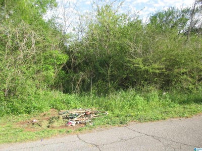 /international/us/408-raimund-avenue-lot-6-birmingham-al-110108496333/