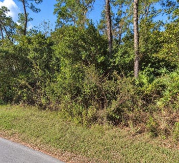 /international/us/coon-road-astor-fl-110120060137/