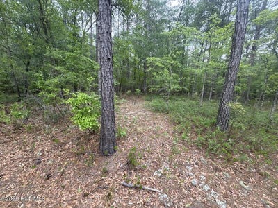 /international/us/5-6-7-53-off-highway-lot-5-6-7-atkinson-nc-110107506152/