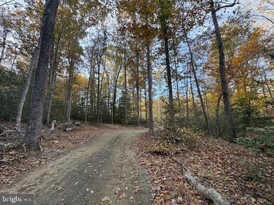 /international/us/31078-old-office-rd-lot-1-locust-grove-va-110104403311/