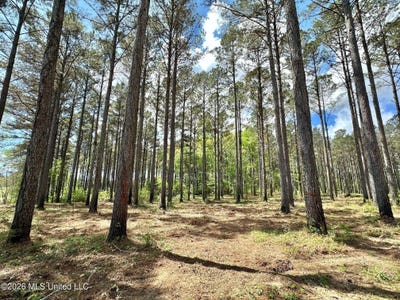 /international/us/2-morgan-road-lot-2-canton-ms-110107036433/