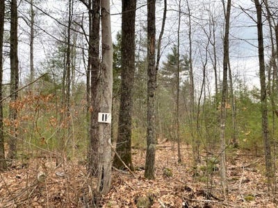 /international/us/11-l-new-athol-rd-petersham-ma-110106932014/
