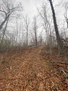 /international/us/cow-creek-map-008-00-00-011-salyersville-ky-110105938098/