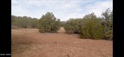 /international/us/tbd-lazy-o-rd-show-low-az-110101233227/?lang=pt