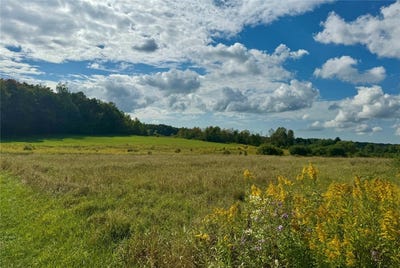 /international/us/hill-road-erie-pa-110094637408/