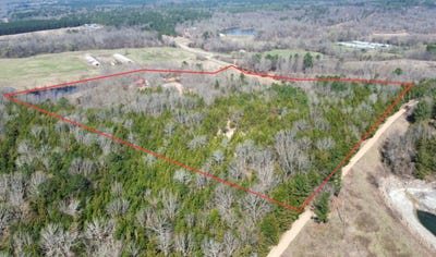 /international/us/274-wilson-creek-road-lockesburg-ar-110106187183/