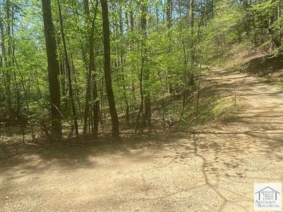 /international/us/oak-hollow-rd-lot-4-7-woolwine-va-110098965109/