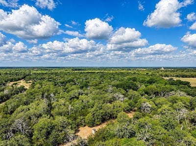 /international/us/county-road-132-hallettsville-tx-110120147471/
