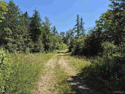 /international/us/160-acres-halverson-road-gulliver-mi-110102594082/