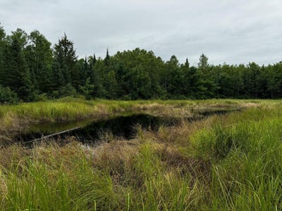 /international/us/pine-lake-rd-lot-1-minocqua-wi-110106524438/