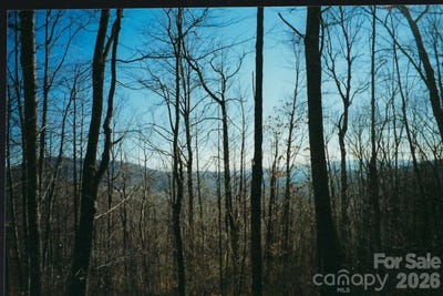 /international/us/damselfly-court-lot-35-spruce-pine-nc-110110299616/