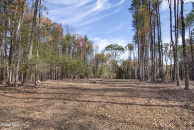 /international/us/119a-sand-hill-road-greenfield-center-ny-110105357283/