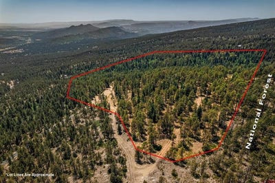 /international/us/lot-15-taylor-ranch-road-durango-co-110101398110/?lang=es