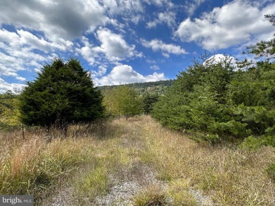 /international/us/knobley-road-keyser-wv-110087303286/