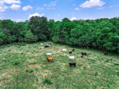 /international/us/66-682-acres-county-road-2190-commerce-tx-110099961259/