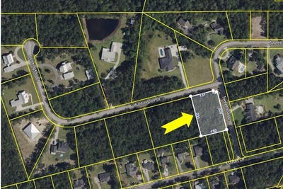 /international/us/lot-20-huntington-court-walterboro-sc-110089508399/